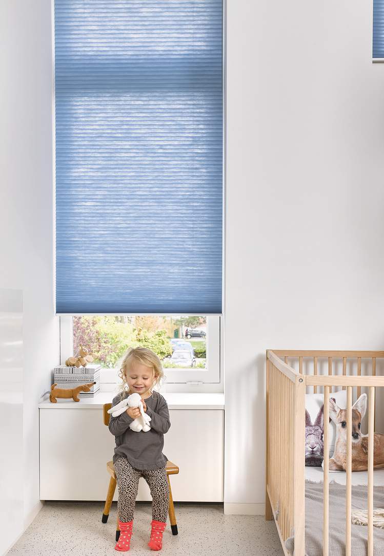 Blue Blinds -Duette® Shades