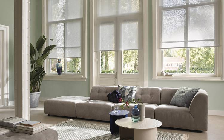 White Blinds - Roller Blinds