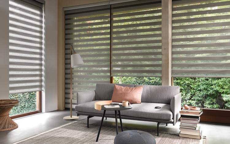 Grey Blinds - Duo Roller Blinds - Smart Home Control